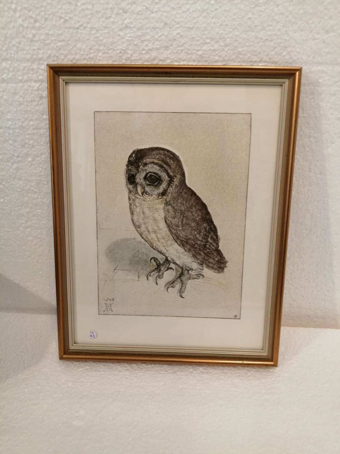 A charming Albrecht Durer print of a Little Owl
