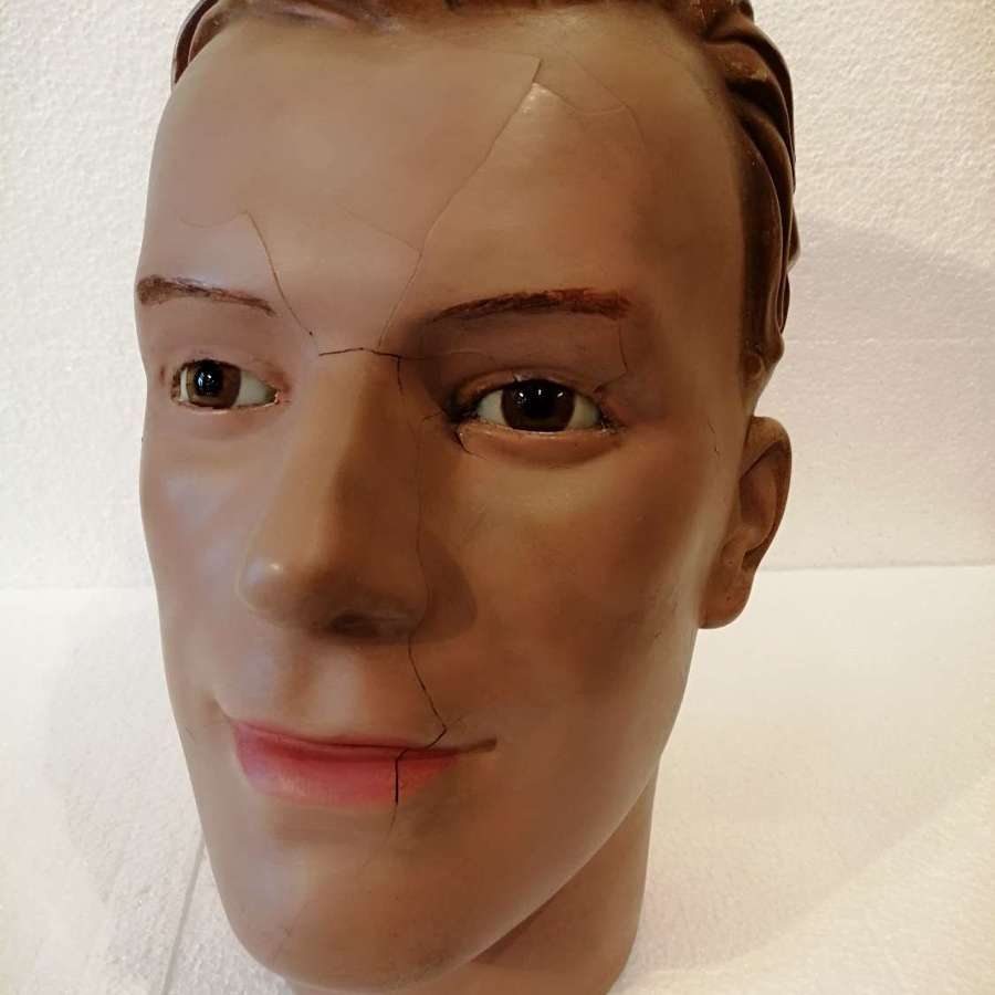 French Male Plaster Display Head